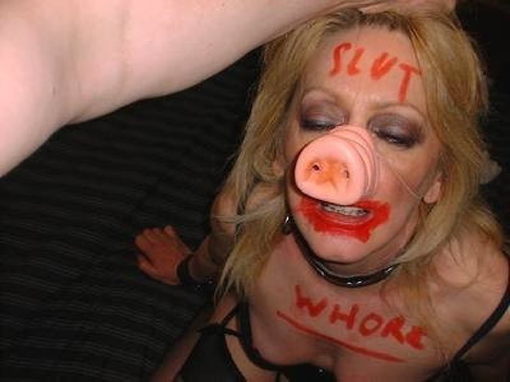 Humiliation pig pic