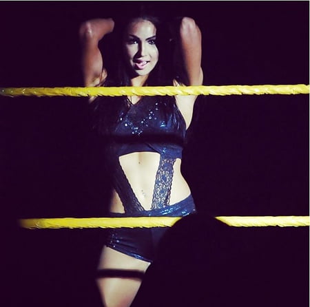 Billie Kay Wwe Nxt Pics Xhamster Hot Sex Picture