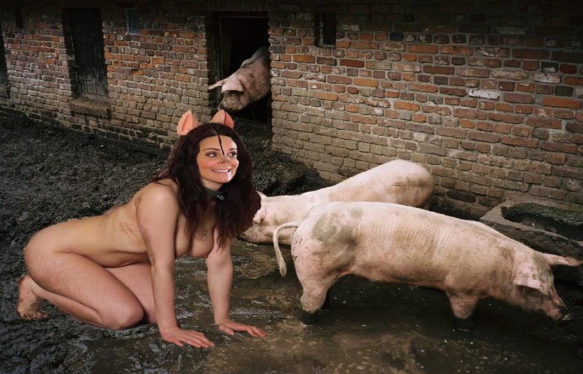 Девушка Занимается Секс С Свиньями