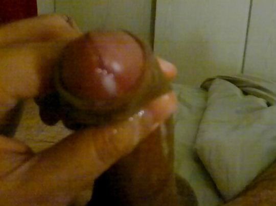 My Cock porn gallery