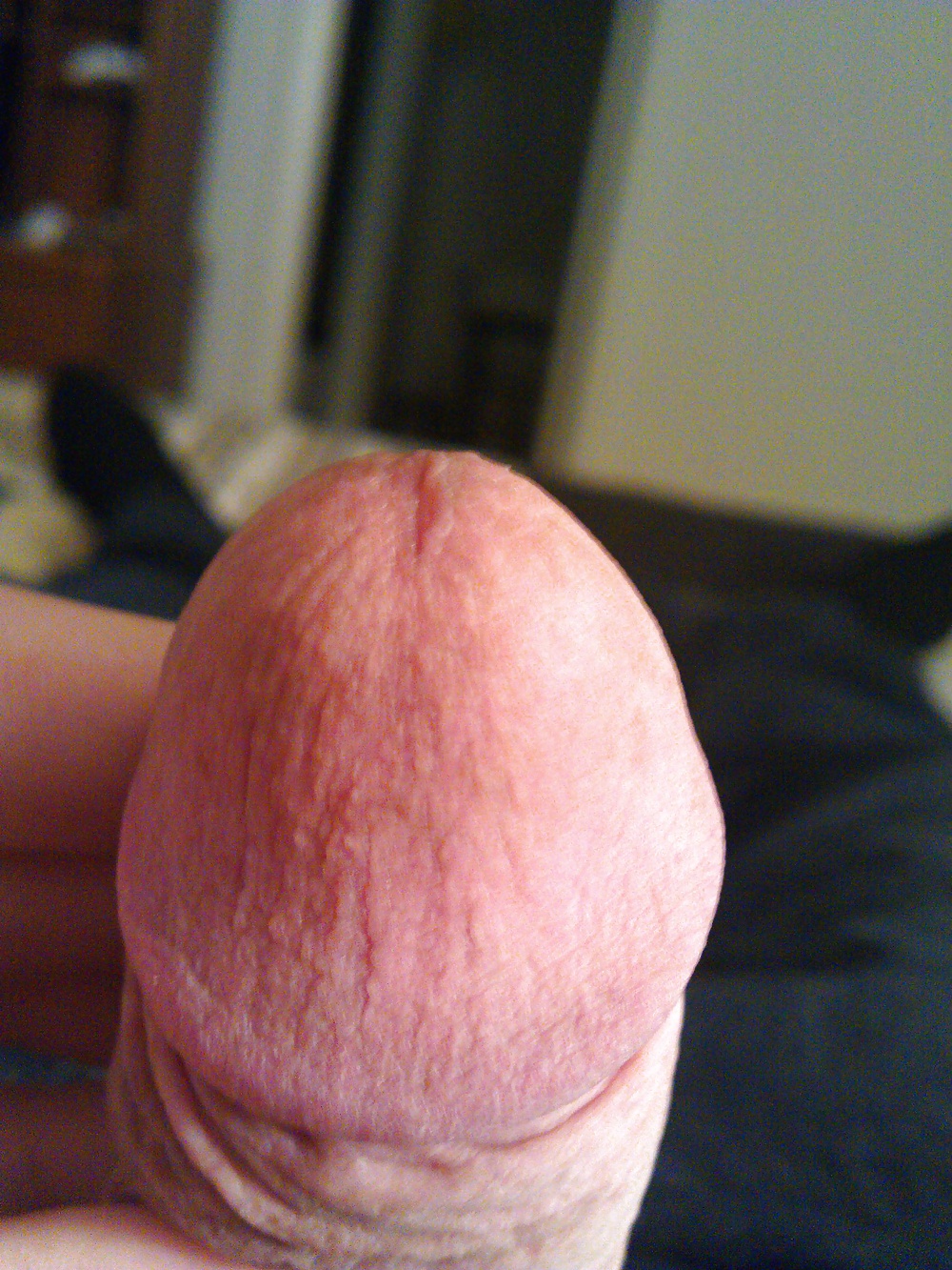 my cock for your tight pussy... porn gallery