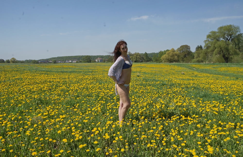 Yellow Meadow - 45 Photos 