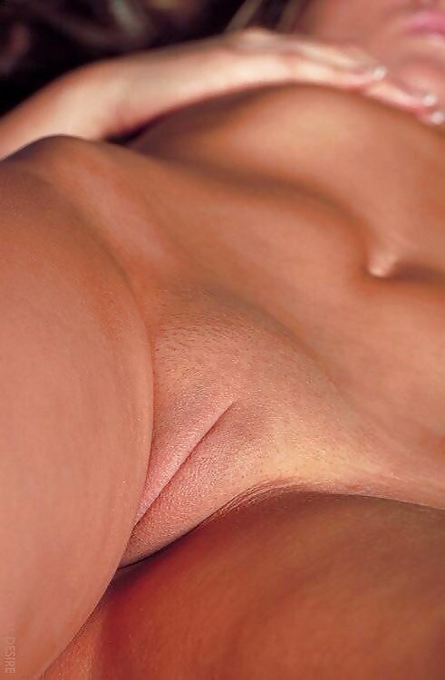 All Kind of Pussies porn gallery