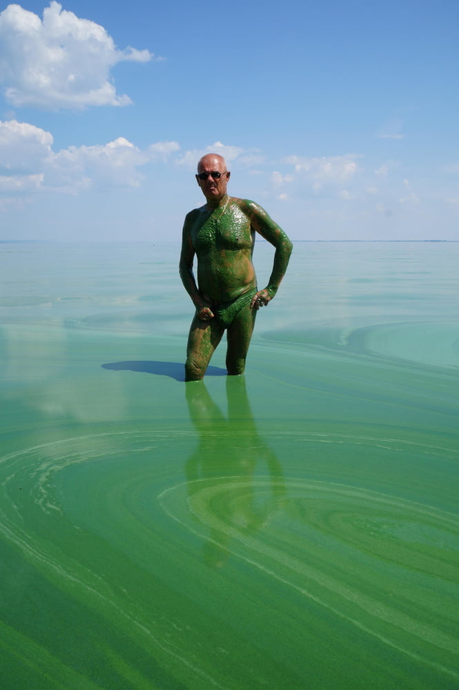 In green algae - 43 Pics 