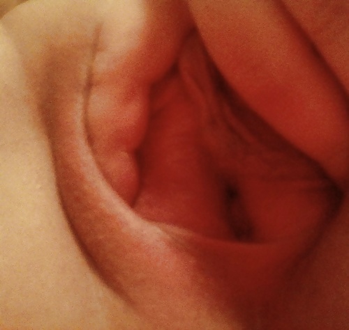 Vaginas 3 porn gallery