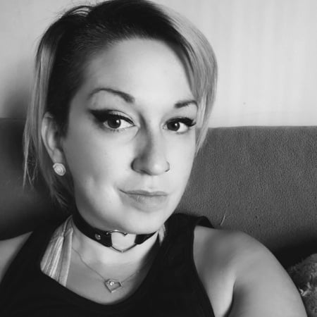 spooky bee free photos         