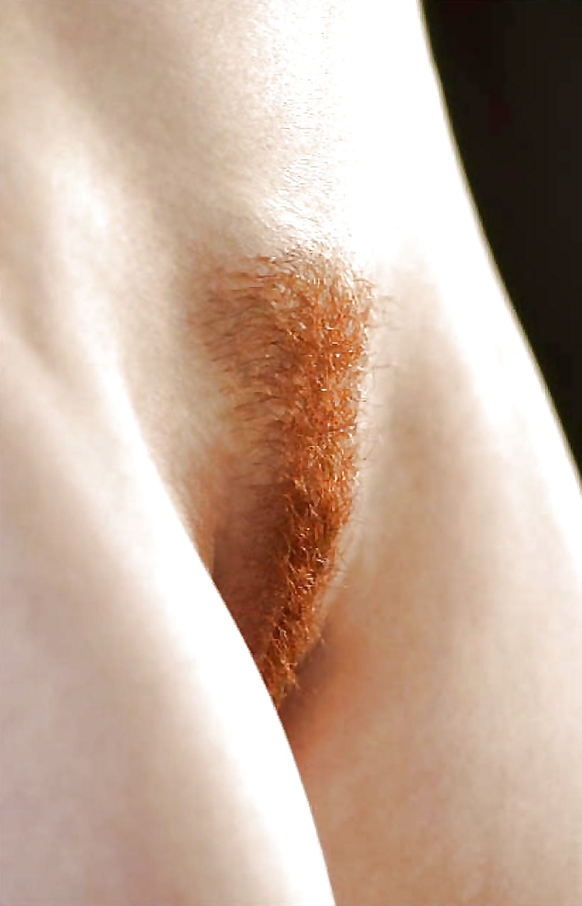 Hairy Pussies porn gallery