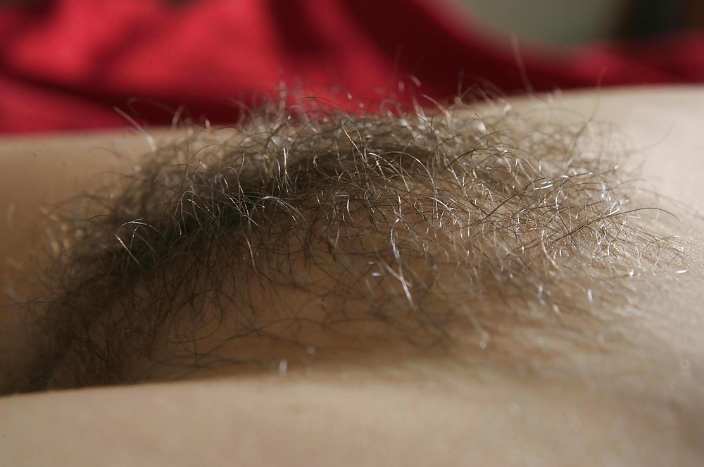 Hairy teen, some more pics - N. C. porn gallery