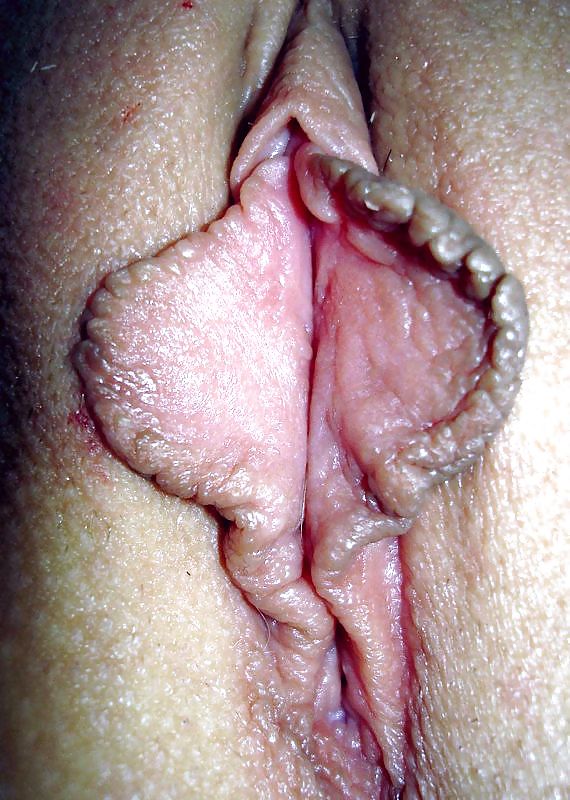 Pussy 8 porn gallery