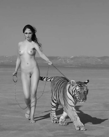 Attractive Tiger Gallery Nude Images