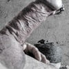 Erect cock