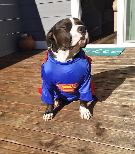 Girls and Diverses 52 porn gallery