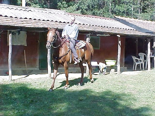 No porn, I learn to riding cca 10 ys ago, porn gallery