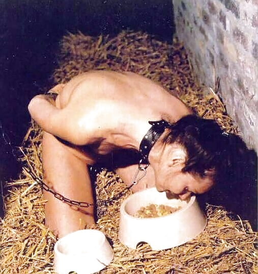 salope soumise exposee porn gallery