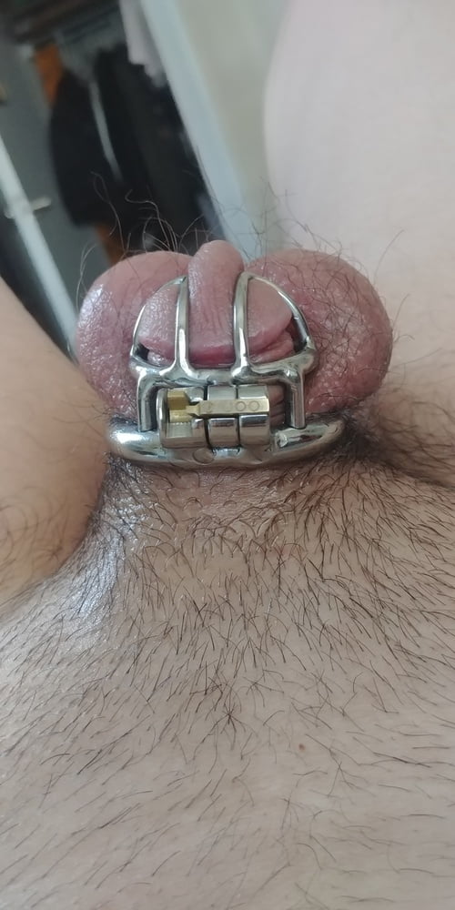 Chastity Case