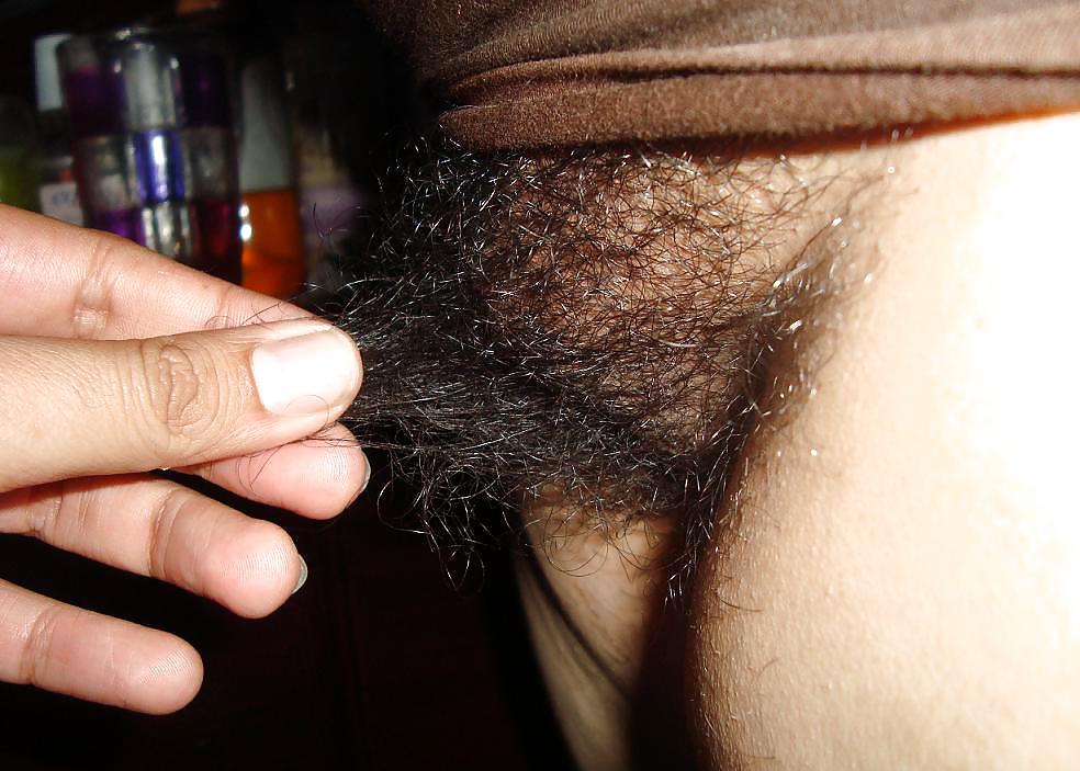 Hairy Amateur  - Jotha Hele porn gallery