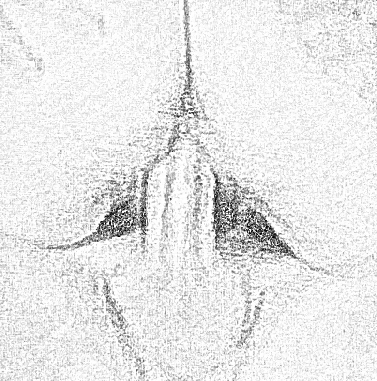 Sketch Art Pics of Italian MILF Mature Wife porn gallery