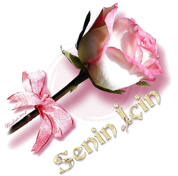 senin icin porn gallery