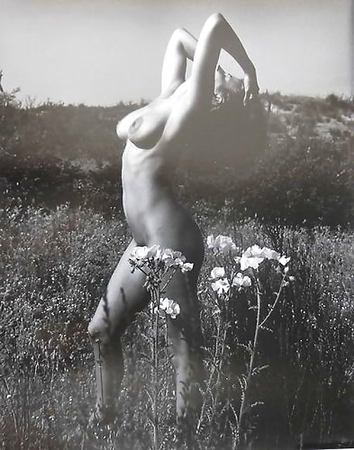 Anita Ekberg Nude Sunflower Celebs.