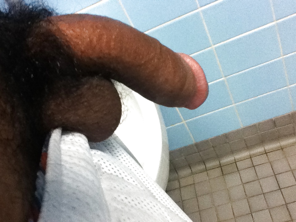 Dick Pics in Public Bathroom porn gallery