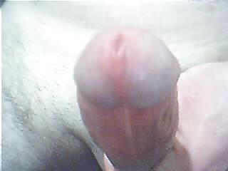 my nice porn gallery