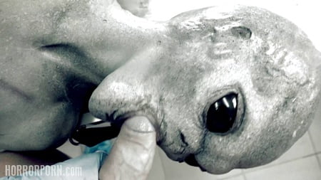 the best of horrorporn         