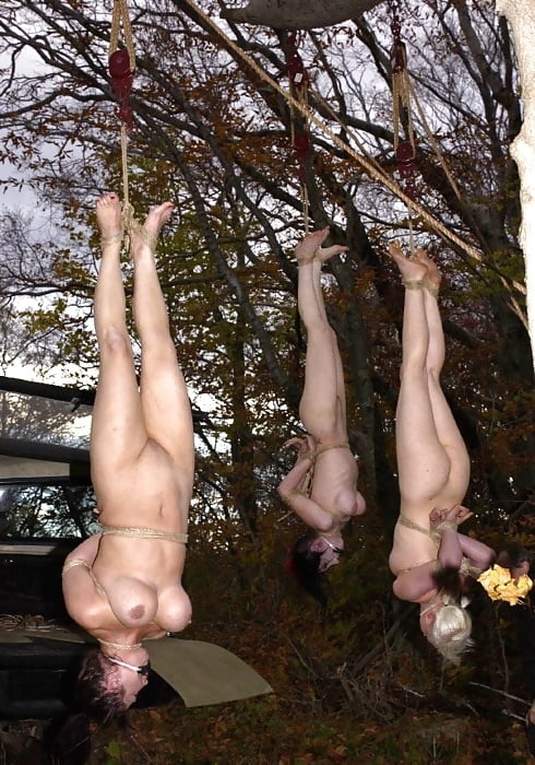 Suspended Upside Down Blowjob