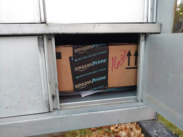 Girls and Diverses 109 porn gallery