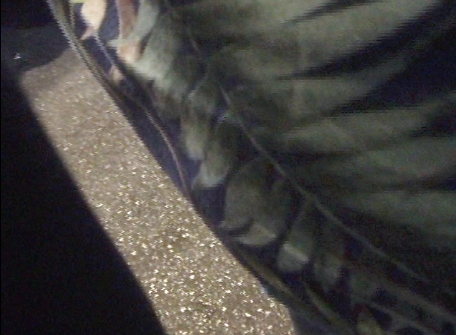 Encoxada Screencaps porn gallery