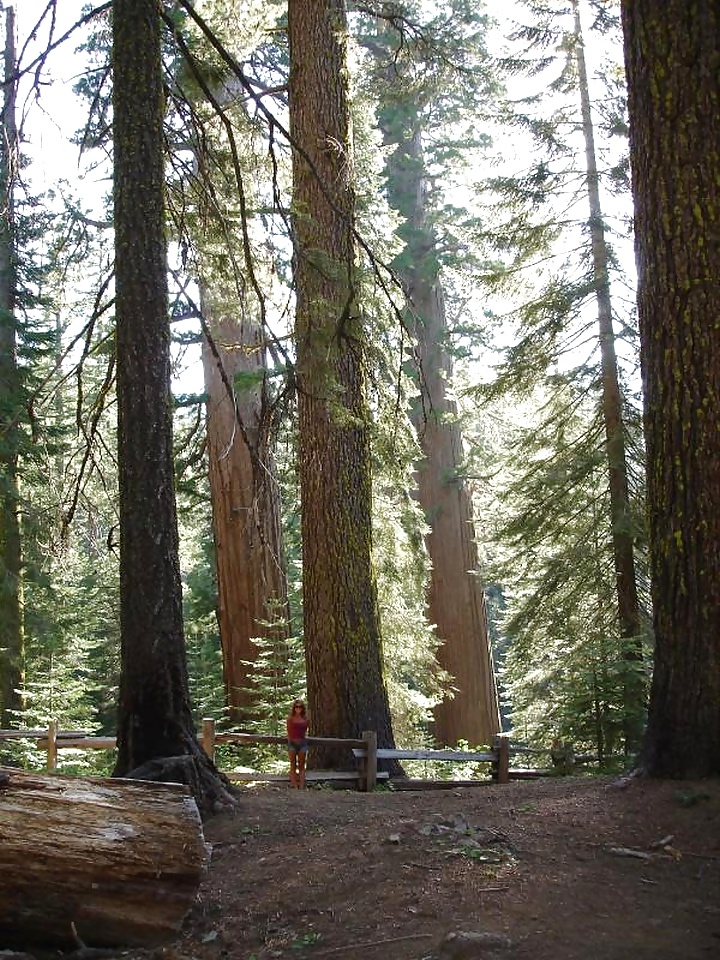 gina slutty slut porn gallery