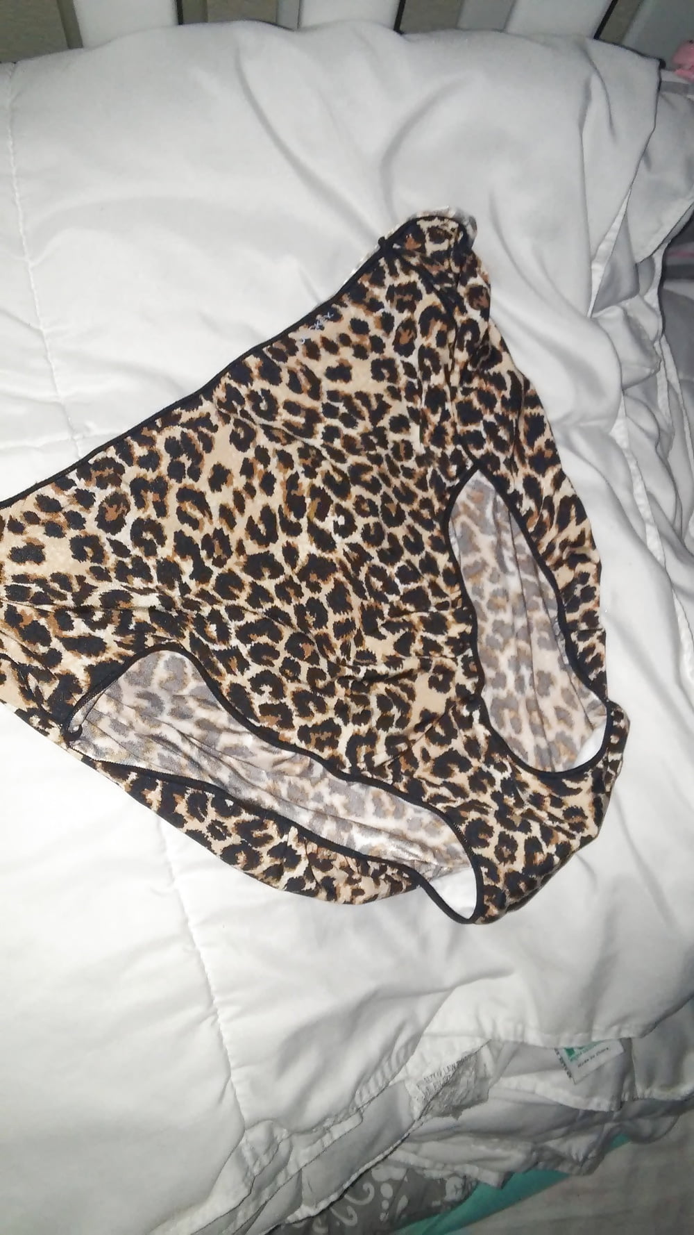 panty raid porn gallery