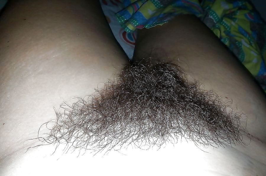 Hairy pussy amateurs porn gallery