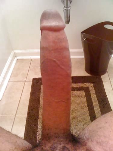 Dick porn gallery