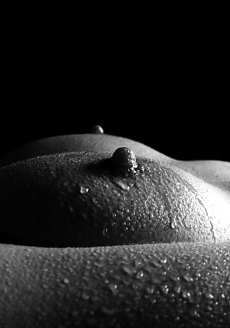 Wet dreams porn gallery