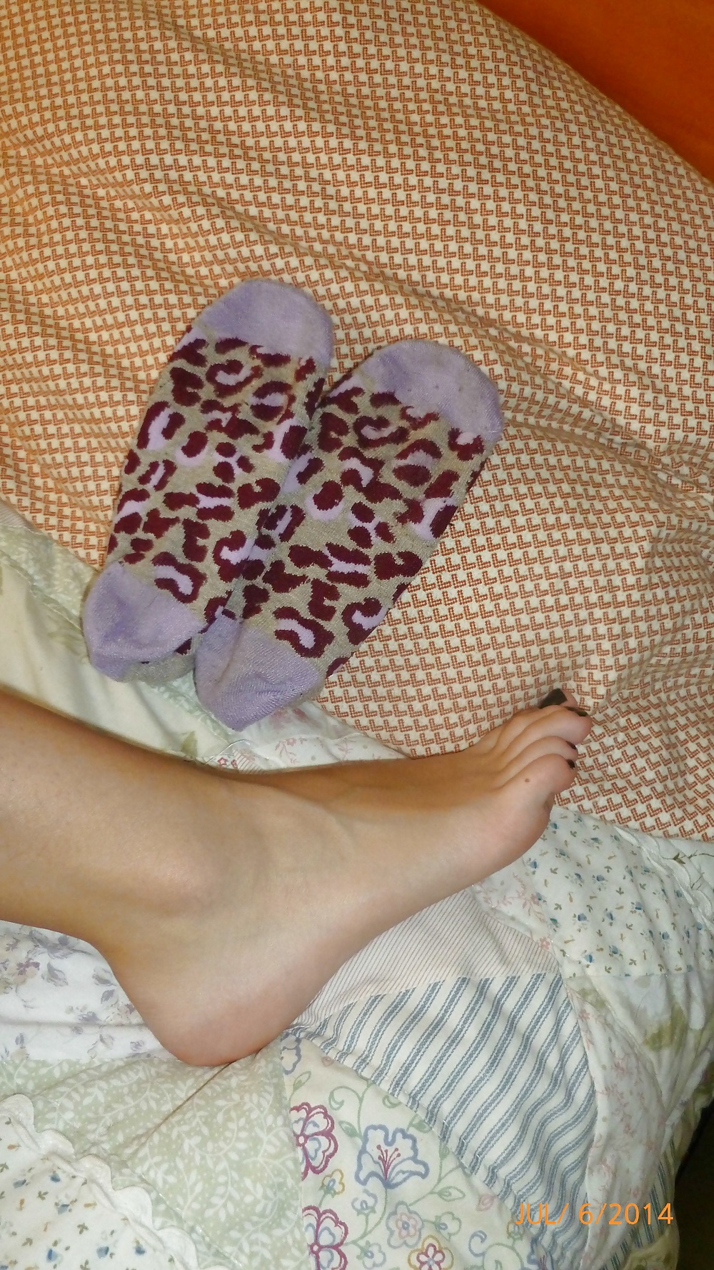 Socks and Feet porn gallery