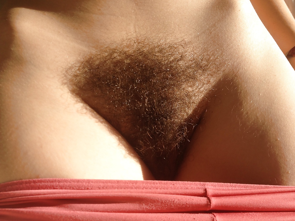 girlfriend's hairy pussy porn gallery