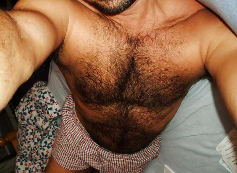 sexy hairy chest porn gallery