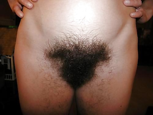 Big Hairy Bush porn gallery