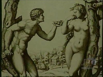 sex history