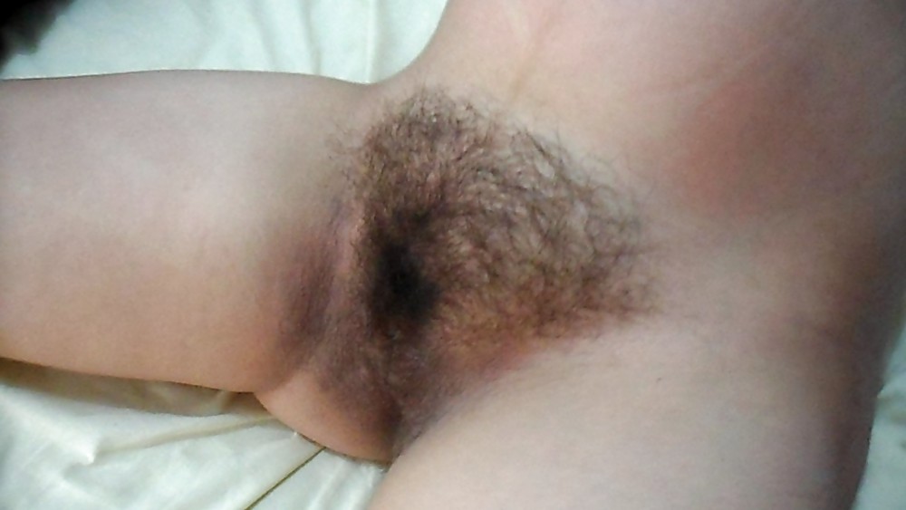Wife perfect hairy pussy porn gallery