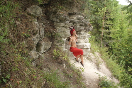 forest satyr on the rock         