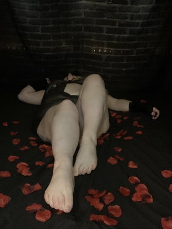 velvet rabbit free photos         