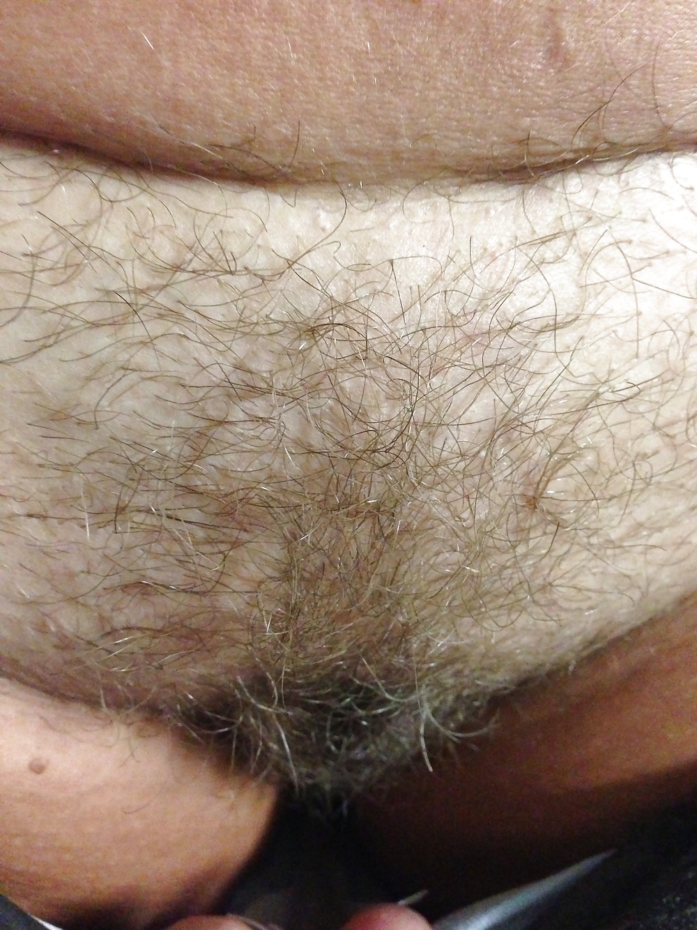 Hairy Teen porn gallery