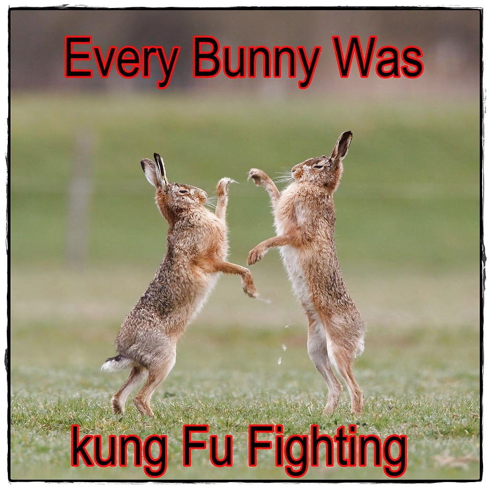 Funny mix part 1 porn gallery