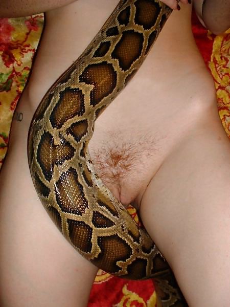 Beautiful girl with a snake porn gallery