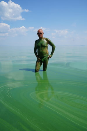 in green algae         