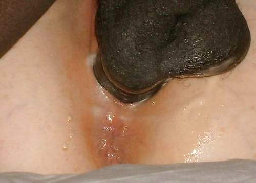 divers non trie porn gallery