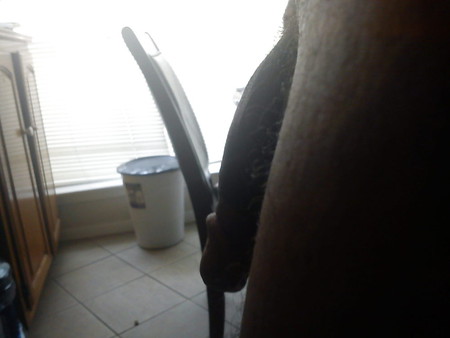 kitchen dick side view