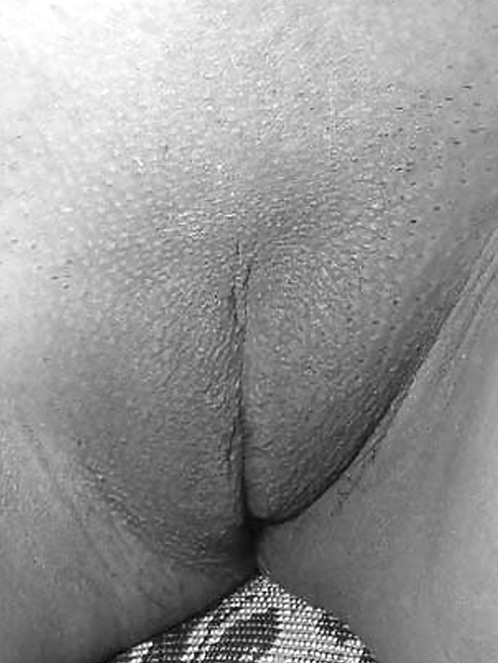 Black and white pussy closeups porn gallery