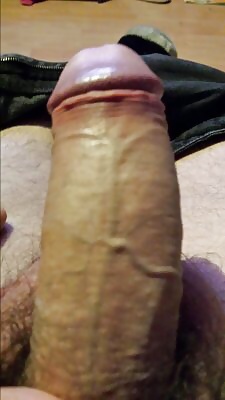 cocks porn gallery